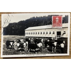 GRUPO DE TOROS GANADERIA ANTIGUA TARJETA POSTAL RARA